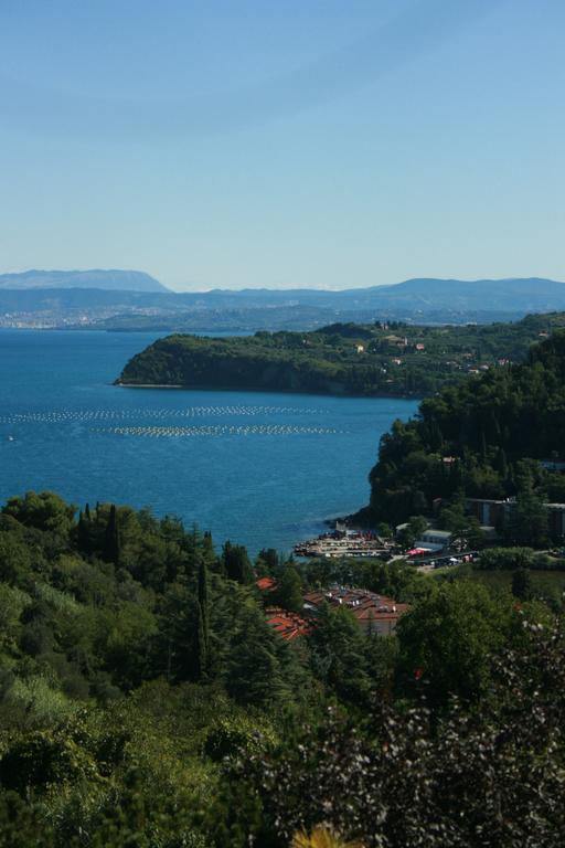 Larocca Studio Apartments Piran Zewnętrze zdjęcie