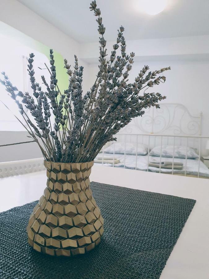 Larocca Studio Apartments Piran Zewnętrze zdjęcie
