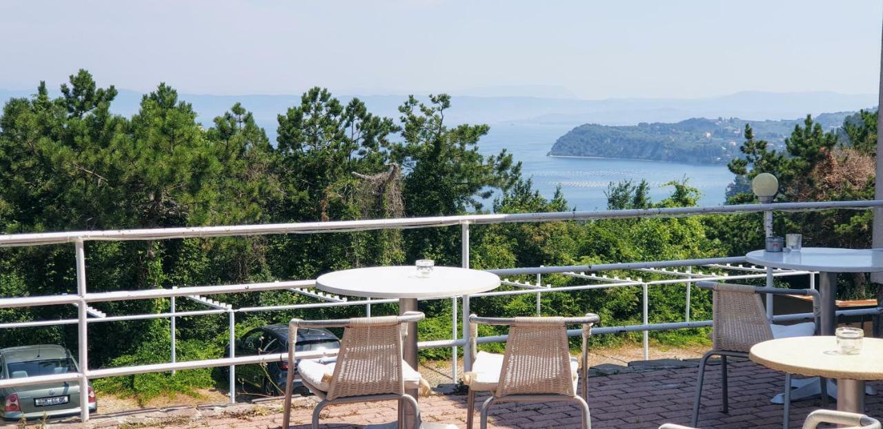 Larocca Studio Apartments Piran Zewnętrze zdjęcie